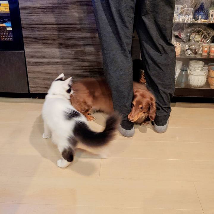 70352424 a9db 4e3d a42c 6fe3791148fe 1764427175363