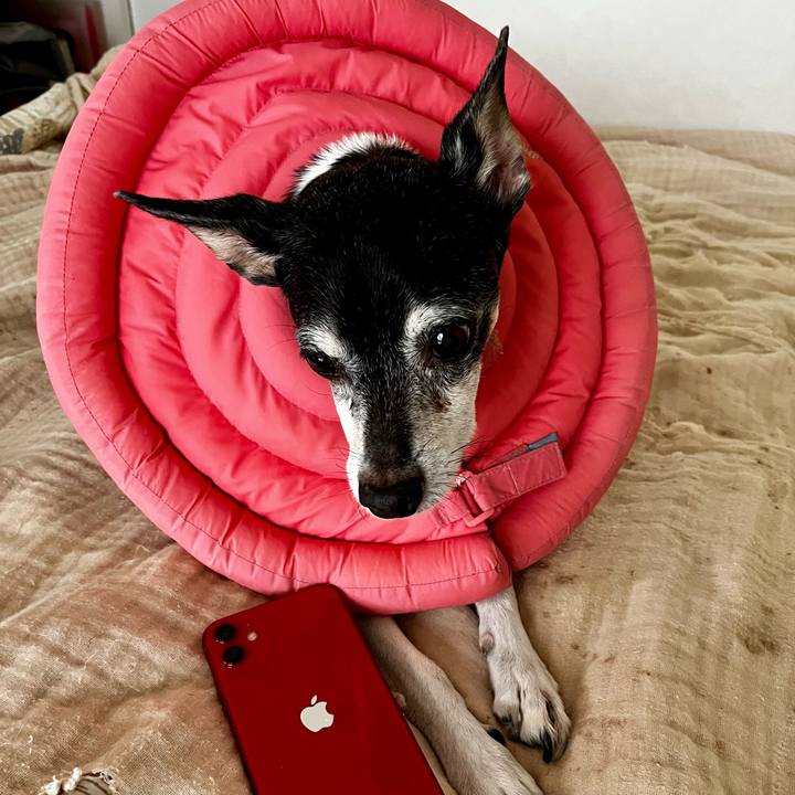 70352cbc 01ec 48c4 9b12 d175a6b9029e 1634426898315