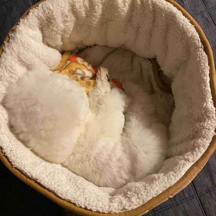 70353fc0 fe38 4cdf bb07 cc6089ebe4c2 1634991983048