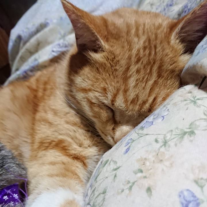 70354559 354b 413e a522 1c5889adbaf0 1578830462764