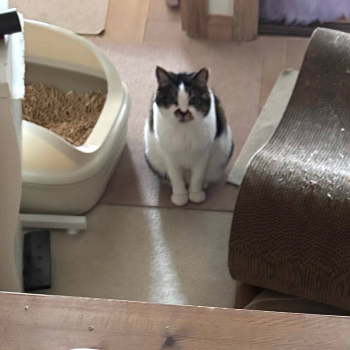 703559da bf9c 4a5a 8552 1782b31266a8 1776209060497