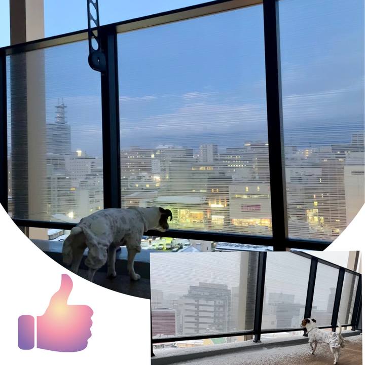 703579b3 93ad 4bbf a4f1 5a5fe79009bc 1645521378547