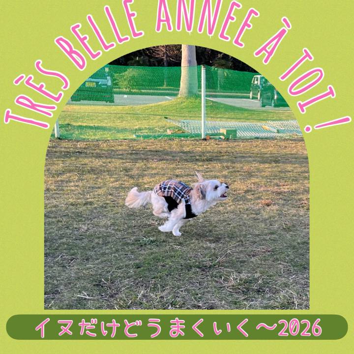 70359368 f3a3 47a2 b1a4 f3b8c4350c81 1767249912377