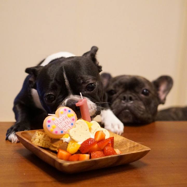 7035a47e 26a4 4b77 94f1 4b87324b5047 1563281124022