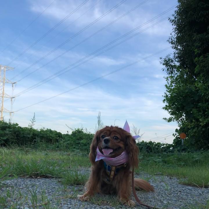 7035a8f9 2297 42c7 bdb7 a4c3610cbf36 1626951426698