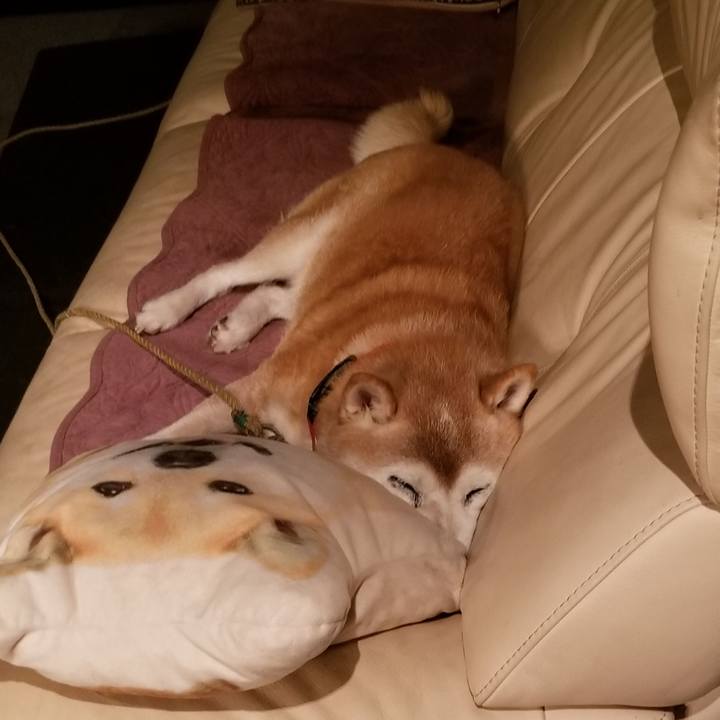 7035da51 ee90 49b9 af88 67aa142b88a3 1725964104867