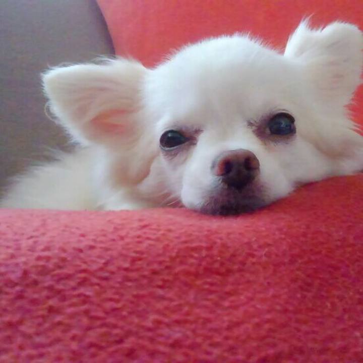 7035fb9a 414a 4634 b484 9313ed2fecf6 1534321025181