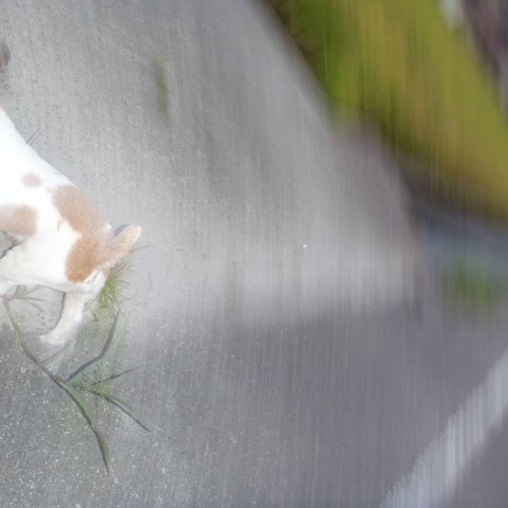 70360bae 4d10 4901 8e00 9b3e97eeca20 1567254639477