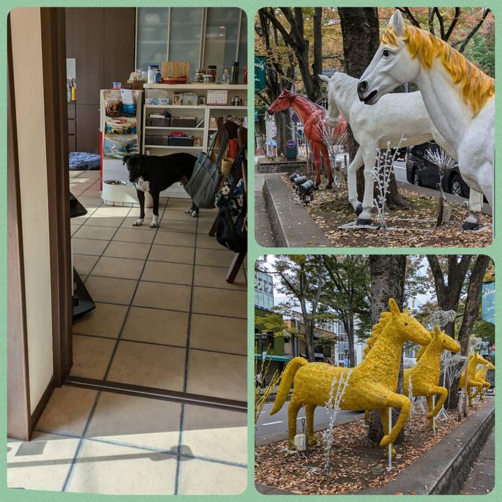 70361ccb 0362 4b8e a6f6 176dc053f5b2 1731581824903