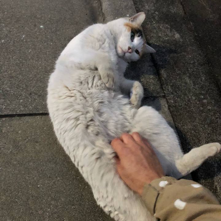 703678d0 3392 482a 9ac7 8ca32e3a0712 1515547158099