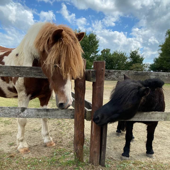 7036bb49 3c91 4bf0 b4e6 4fc3068e5c20 1633864694113