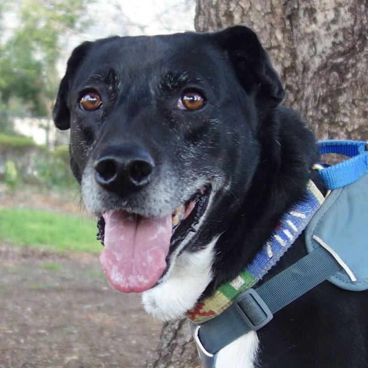 7036d369 152e 40e3 8f20 fce7ea8a5c53 1710550182655