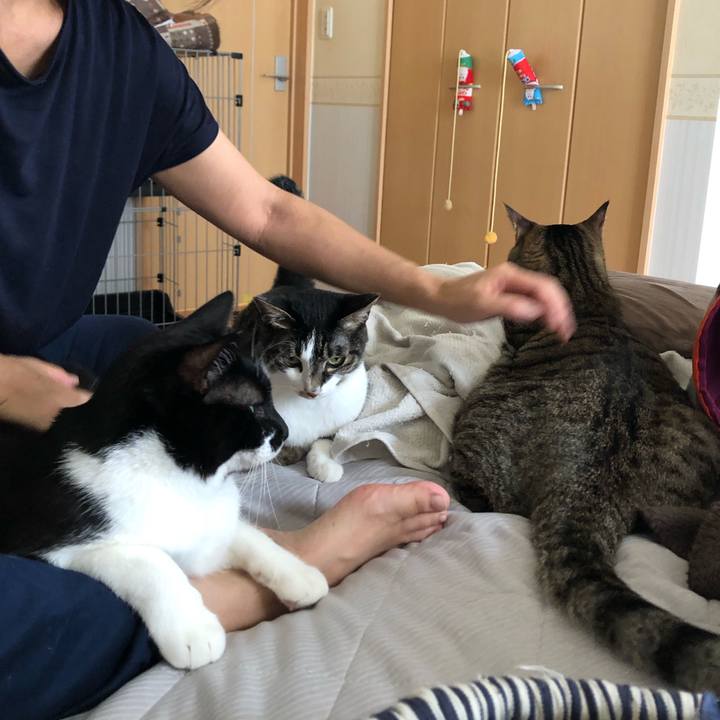 70370dd9 cf14 411d 879d 0317f4c7814d 1629060175055