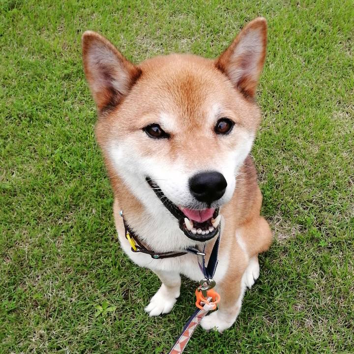 70376c83 56a1 440a 94a4 c326283818e1 1596012485232