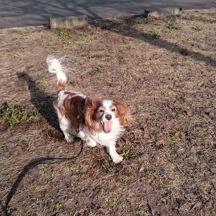 70377bde 7535 4054 a9d9 48fff8b3ded7 1523524287508