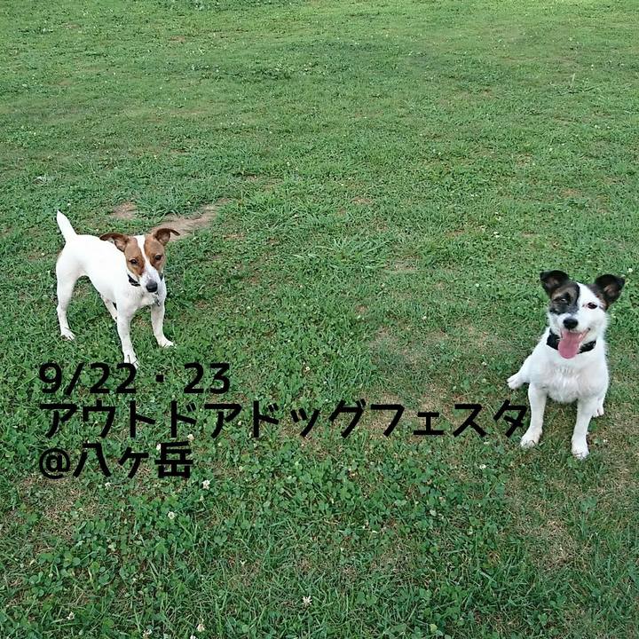 70379fde 0dcd 4c1a 95ca f4fba8428c2e 1537192657807