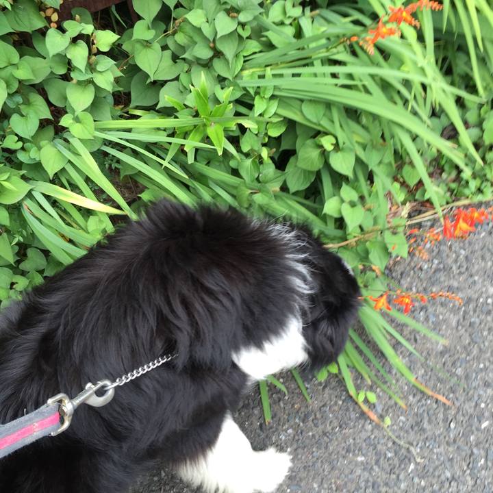 7037ab23 d50a 466d 8fb6 e15b3cd3f7ff 1530149462787