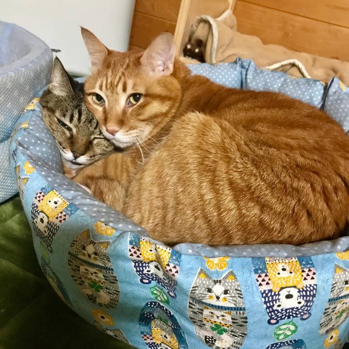 7037b854 e09a 4dad 9899 130a8da3db0b 1514555624972