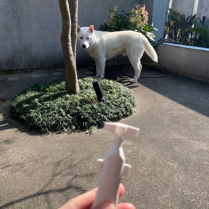 7037e279 60c5 4240 9019 f8eff552767d 1710410750389