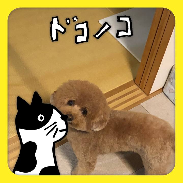 7037f696 7301 471d bc9d 6f57328d26a6 1622991008804