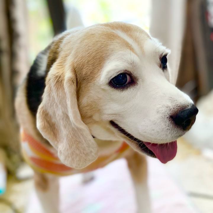 7037fcfc 04d2 4ae1 9072 5719d850c468 1635565975048