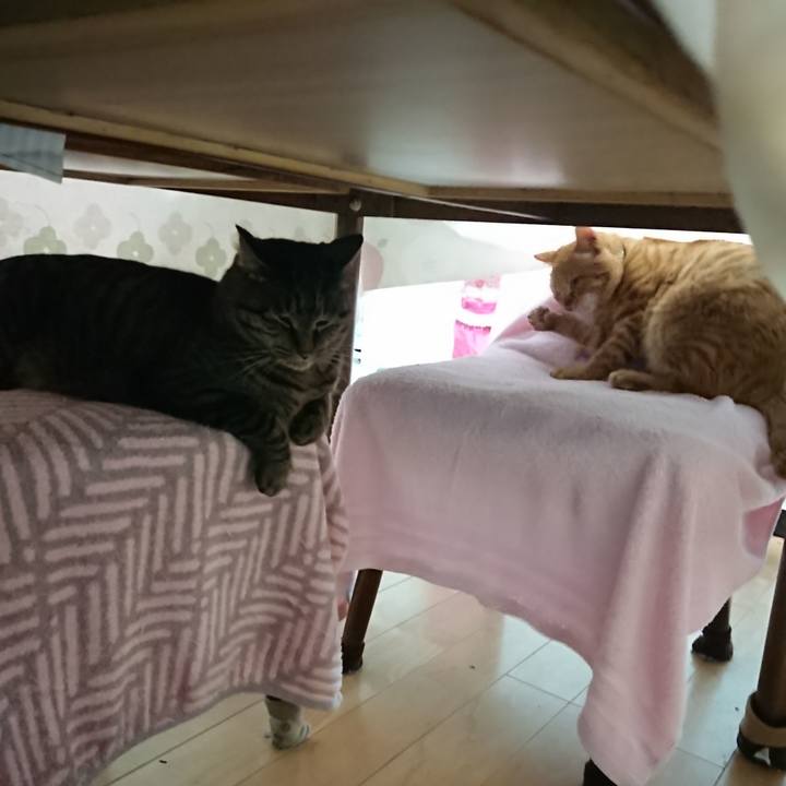 7038037b 327f 4a63 97ff d26725a5810f 1640119568662