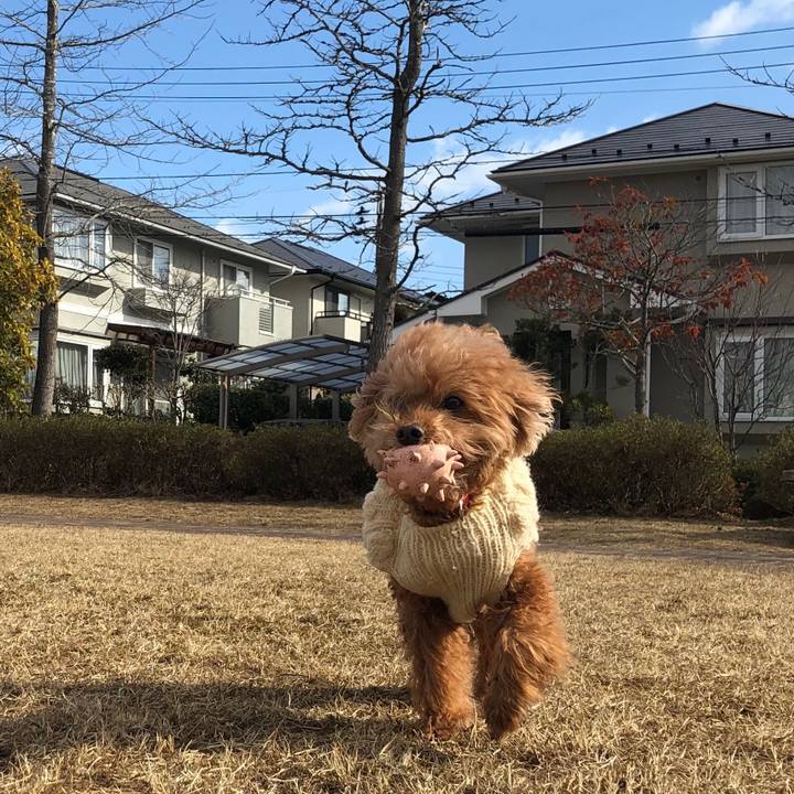 70384319 e31d 46f7 8c76 aa5a84399eea 1550456039595