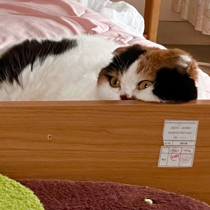 70385ca3 1723 4863 a1d9 36b864057942 1699274151146