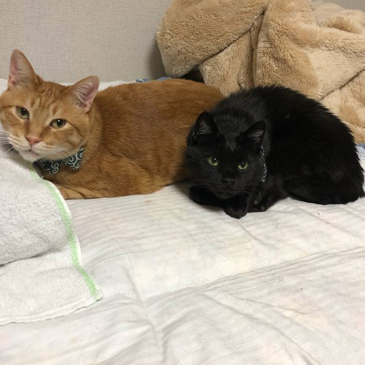 70386b85 f316 4bd3 be9e c498efff7cca 1581947363040