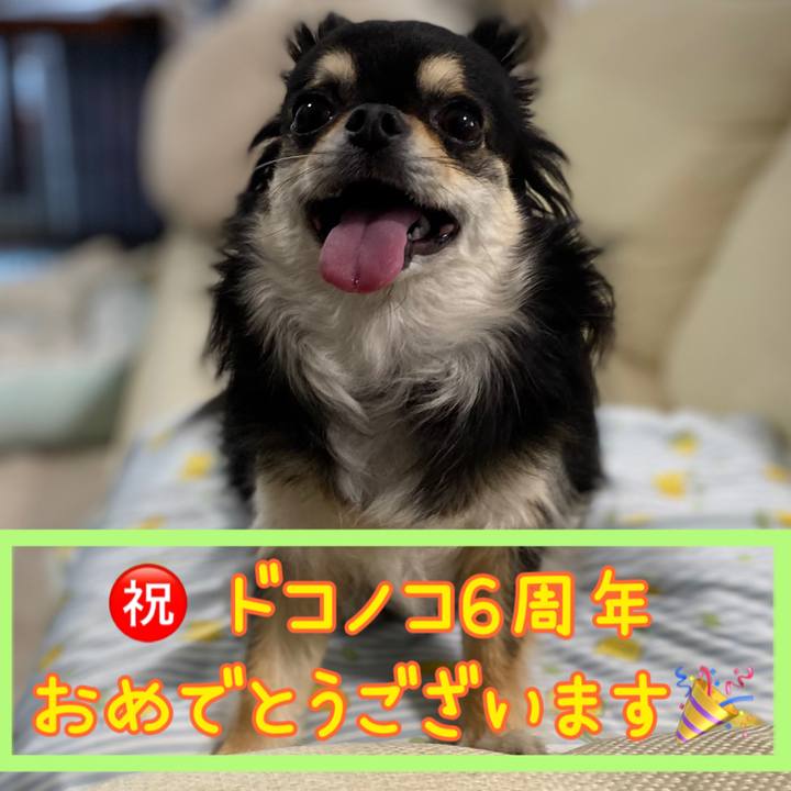 70387d13 fda4 41d6 8ce7 53555e96ebb3 1654393687514