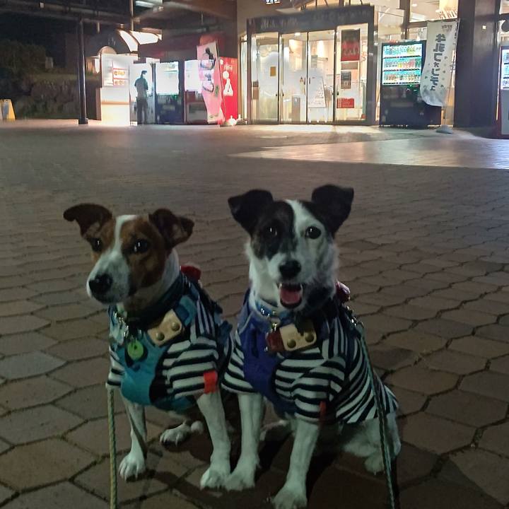 7038944c 0fd7 412c bf4c 92329f7f8267 1691615762377