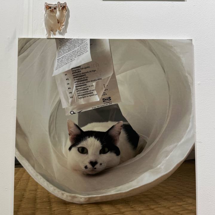 7038a011 0217 4033 8042 c1a04421dd02 1761899273768