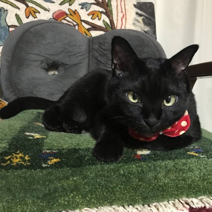 7038b263 0bc3 44b7 a869 a6320e10411e 1550582745117