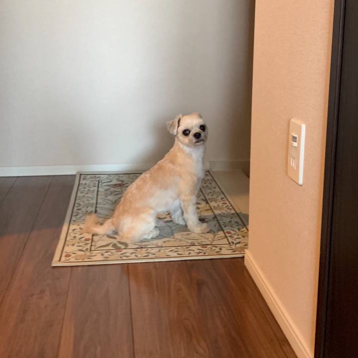 7038e5d3 9fbf 4d57 ba4d e571a914f4bc 1566043105933