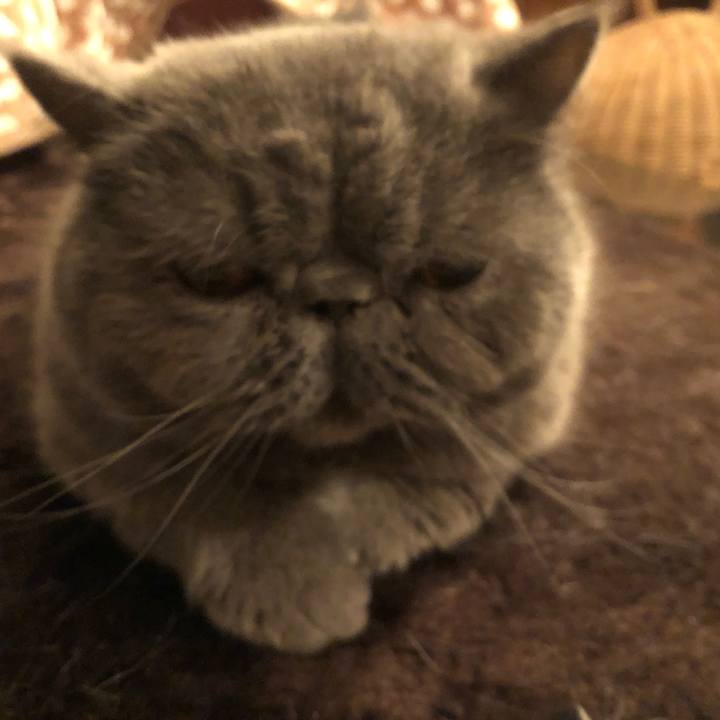 7038ee87 00ca 451a 882c c34c998601c0 1553265209840