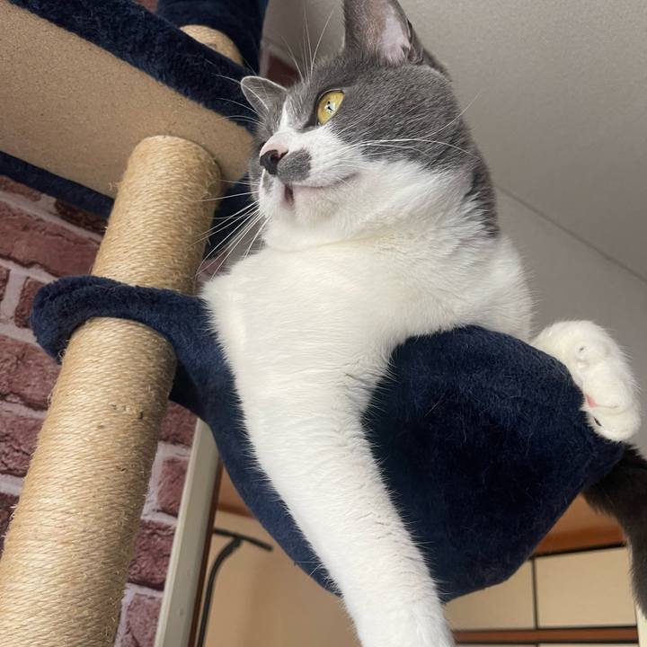 7038f909 7802 4607 8ba8 d1f8a67d02b1 1684631926010