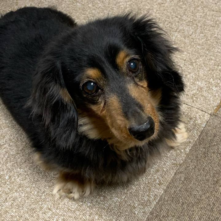 70398809 9cb6 48d0 b96c 59ce0ce09d30 1580335081459