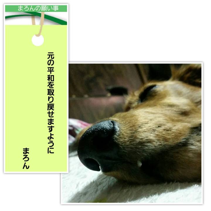 70398d90 c889 4834 8edf 77bcacdf0db9 1594110198489