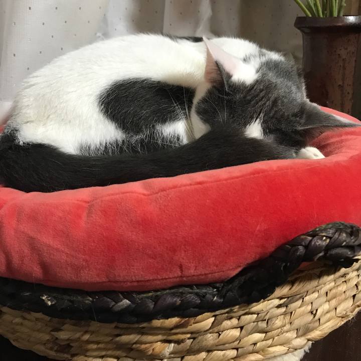 703a0c08 7fbe 4010 954a e12ecfd110cf 1508972650487