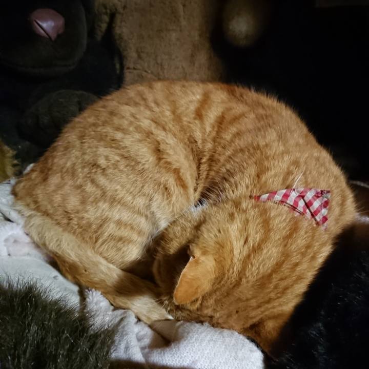 703a1a8e 149e 4c3f a612 0e5bc524a1a4 1607420952675