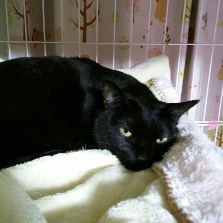 703a34df 755b 41a4 a11a a82b54f34ae8 1510716044108