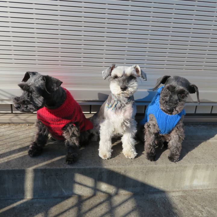 703a3a5e 8858 4ea0 a51c 0ebfdfa1e852 1547975661692