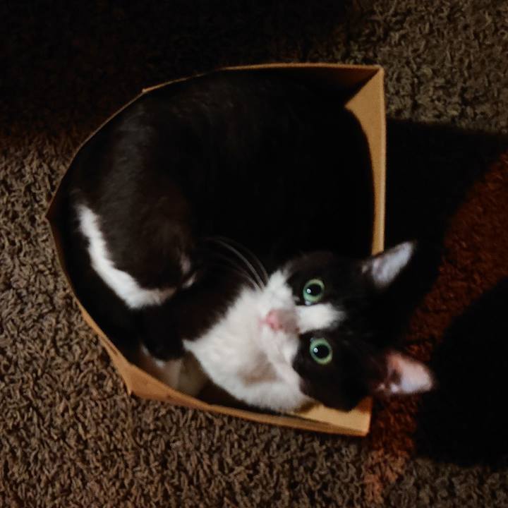 703a4a43 1376 4054 b5aa 18f5a2bd21e2 1597502443334