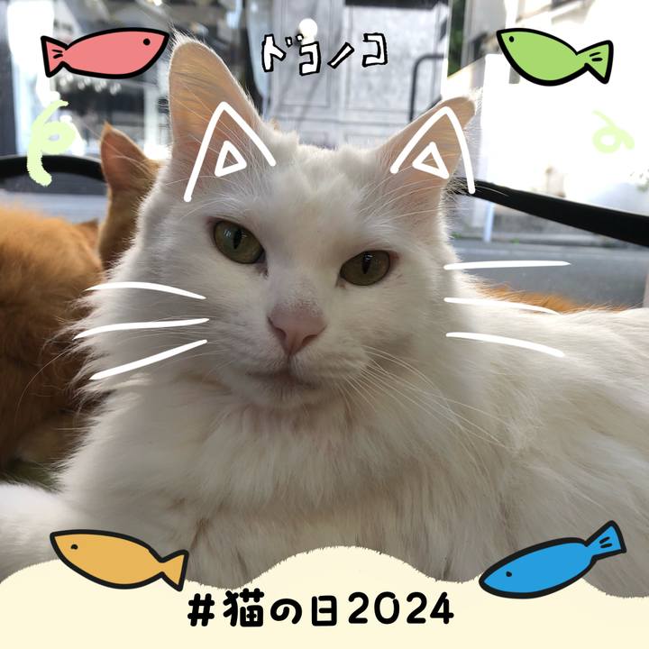 703a60a4 bdcd 498e a63f 83a55aa534a1 1708583632315