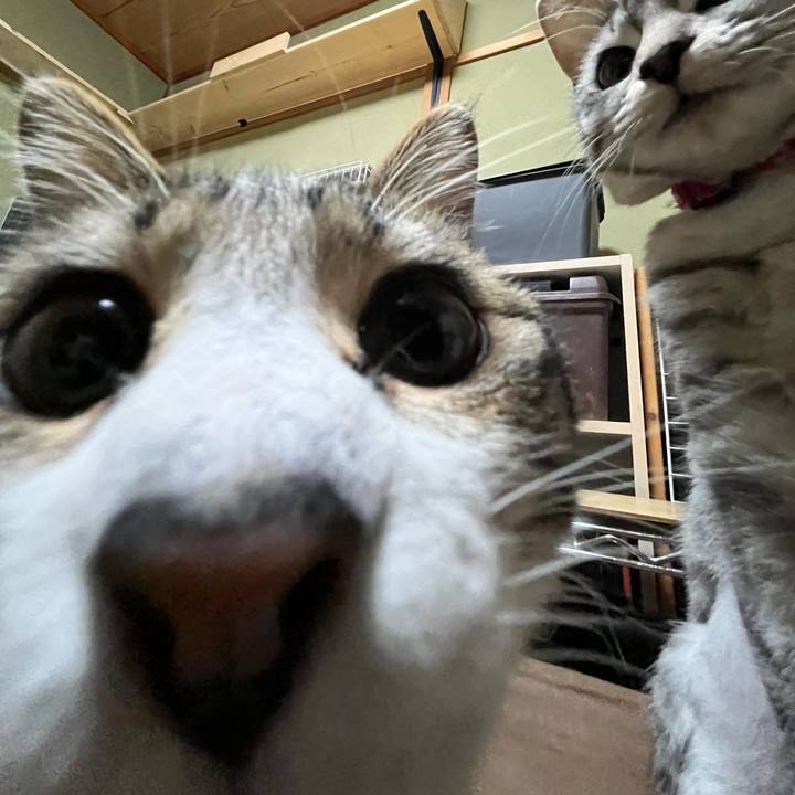 703aa4a6 9fb0 4b38 8e78 9fb8301c4f64 1708857486320