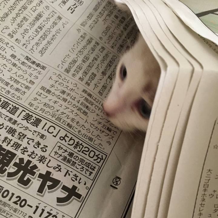 703abfc8 704c 4467 a193 4af7afc6a14e 1532133379557