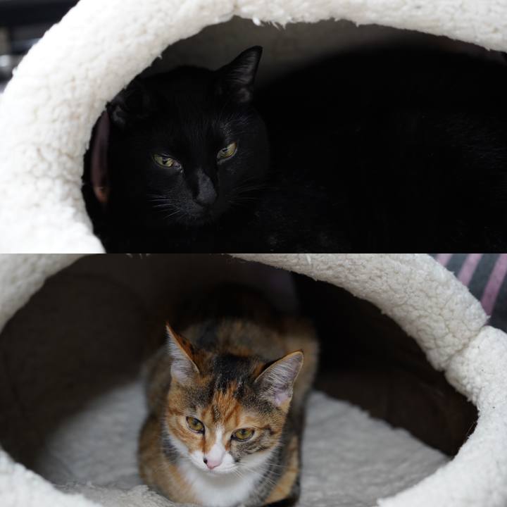 703ac0eb 1ee2 48c3 bf0b de2a8e170601 1574759208198