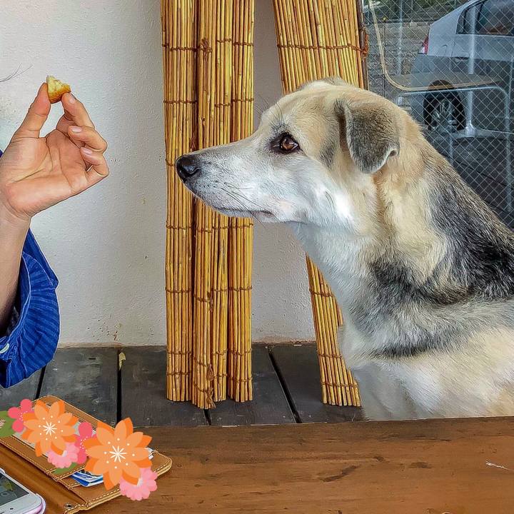 703accac 9674 4f61 96cc 6a09f9ea327d 1545911859639