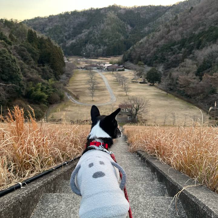 703aebf8 0a1d 478f bba7 8058f09251da 1768303088174