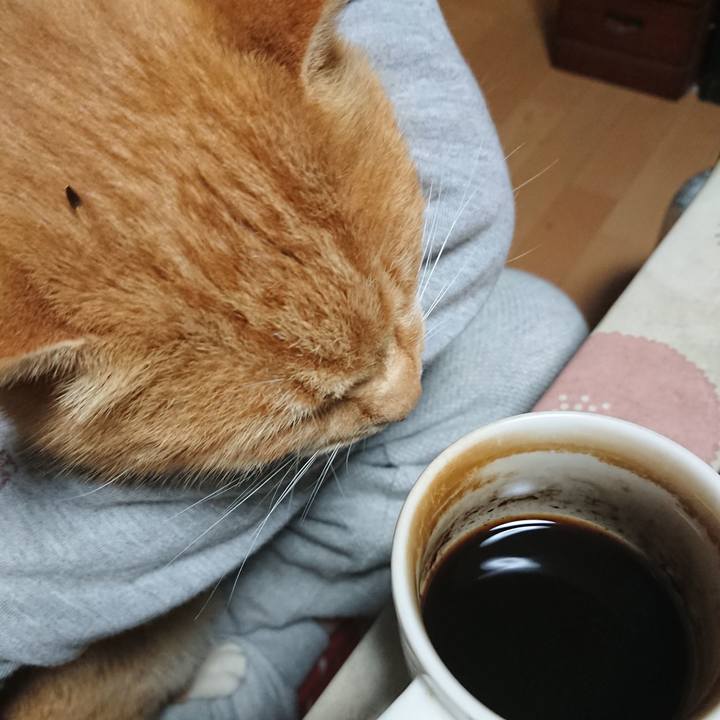 703afd2a df41 404d 92bc 0c57e5190818 1605817735422